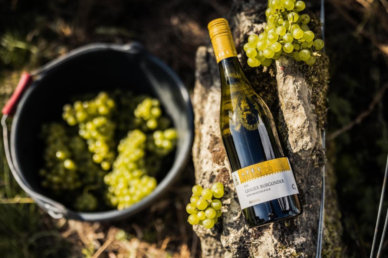 Weingut Und Gaestehaus Apel Nittel Dış mekan fotoğraf