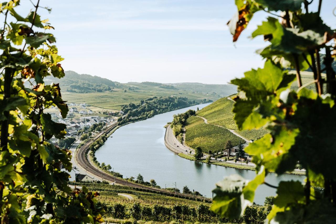 Weingut Und Gaestehaus Apel Nittel Dış mekan fotoğraf